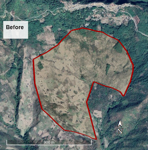 Nagaland site after restoration