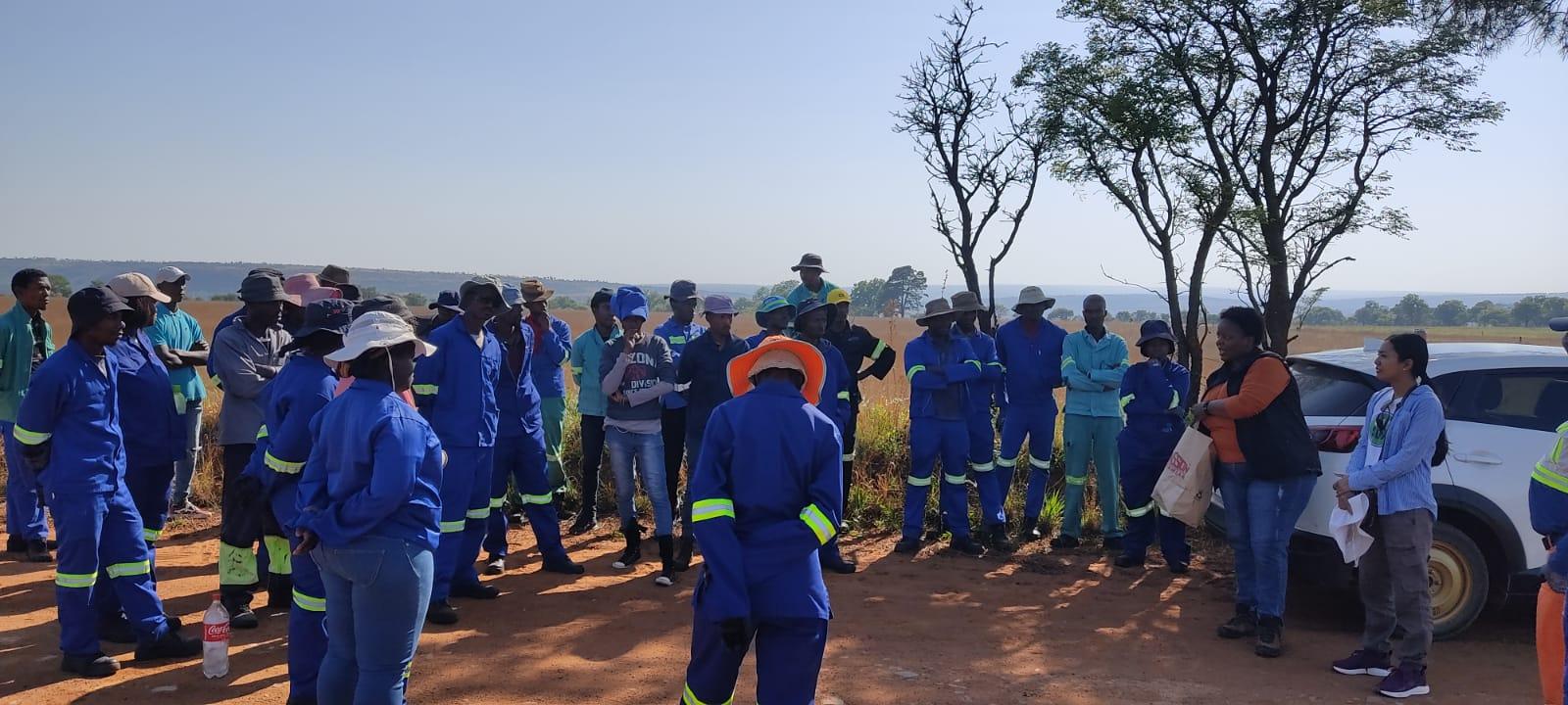 Bamboo agroforestry training in South Africa