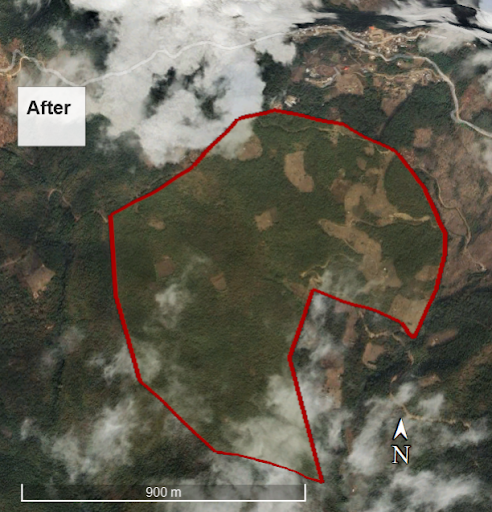 Nagaland site before restoration