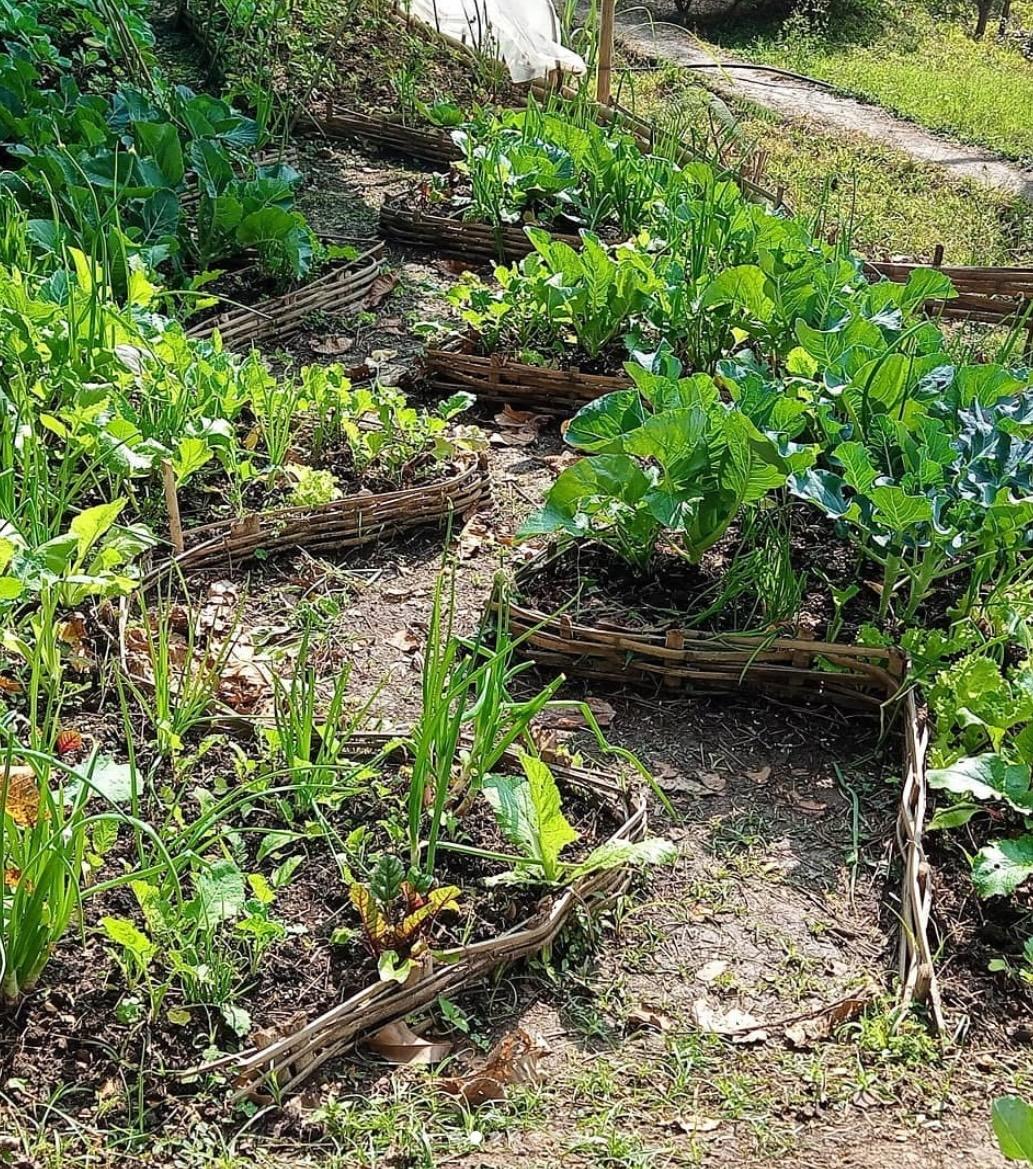 Woven-edged garden plots